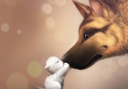 The Kiss - nice, dog, 3d, kitty