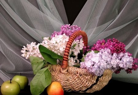 Flowers and fruit - veil, flowers, basket, lilac, still life, apples, curtain, fruit