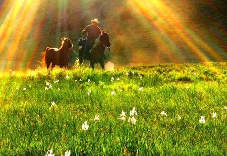 THE JOURNEY CONTINUES...... - journey, horses, sunshine, field, man