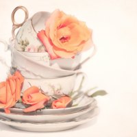 Tea cups and roses