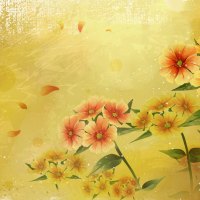 Colors Wallpapers - Page 73 - Desktop Nexus