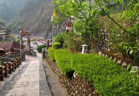 hot spring area suspension bridge - grasses, trail, suspension bridge, hot spring area