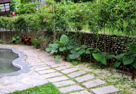 hot spring area soak the foot pool - hot spring area, soak the foot pool, grasses, plants