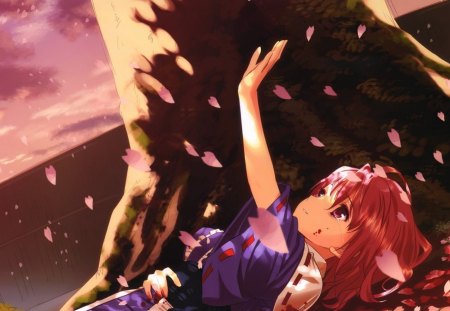 Saigyouji Yuyuko - pink hair, anime girl, crying, saigyouji yuyuko, touhou, anime, tree, short hair, pink eyes, cherry petals, dress