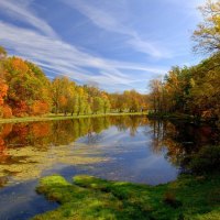 Autumn Landscape