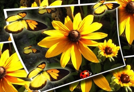 ♥      ~❁~   Summer Flowers   ~❁~      ♥ - abstract, yellow, summer, butterflies, ladybug, yellow flowers, flower, collages, butterfly, sun