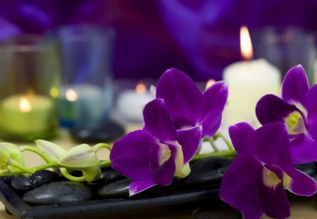 Heavenly scent - nice, delicate, paradise, still life, flame, pretty, scent, relax, candle, lovely, violet, heaven, fragrant, treatment, beautiful, rest, flowers, spa