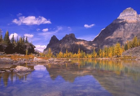 Mountain Lake - clouds, trees, water, blue, rock, forest, reflection, daylight, mountain, stones, nature, green, land, lake, day, sky