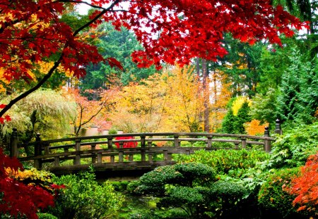 Autumn Colors - beauty, autumn, sky, trees, peaceful, autumn leaves, path, amazing, view, yellow, tree, bridge, park, autumn splendor, lovely, nature, autumn colors, september, woods, forest, alley, beautiful, leaves, splendor, golden autumn, colors