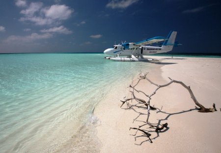 @ The Bayside - plane, sand, bay, cool