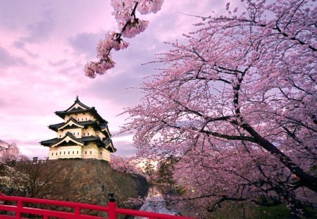 Japan's Temple - nice, cherry, temple, pink