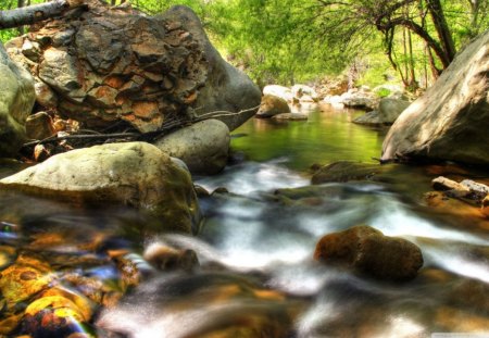 Flowing River - trees, daylight, day, water, ripple, rocks, nature, white, brown, forest, flowing, river, leaves, green