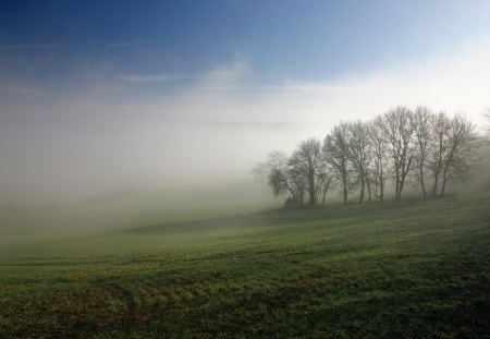 Before spring - forest, wallpaper, hd, morning, fields, fog, mist, nature, sunrise