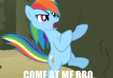 Come At Bro - come at bro, rainbow dash, mlp, brony