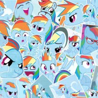 Rainbow Dash Fan pics