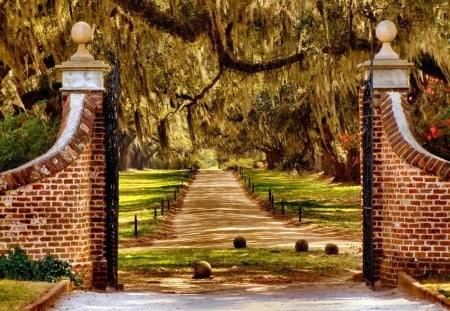 Summer walk under the shadows - pretty, plantation, summer, bushes, wisteria, walk, alleys, calmness, flowers, garden, nice, gate, trees, beautiful, lovely, nature, shadows, peaceful, park, pleasant