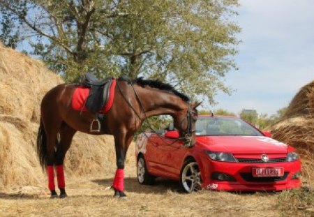 *** Horses *** - horses, red, cilor, animals, car