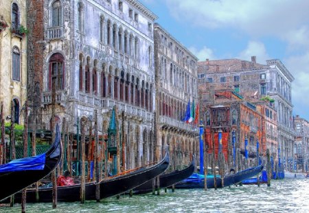 Venice - parade of gondolas