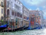 Venice - parade of gondolas