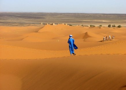 Morocco - desert walker - morocco, desert, sand, walker