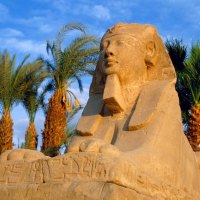 avenue of sphinxes - luxoregypt