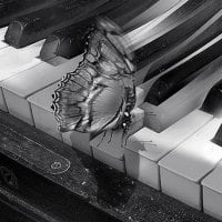 Piano and butterfly