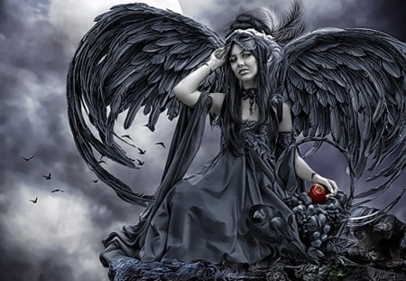 Dark Angel - woman, dark, angel, female, wings, evil, black wings, apple