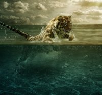 Power of the tiger