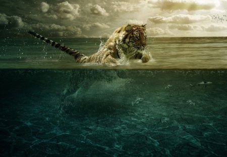 Power of the tiger - tiger, sea, power, beauty