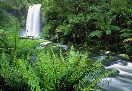 Hope Town Falls ~ Australia - nature, beauty, waterfalls, scenic