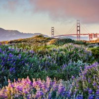 The Golden Gate Bridge