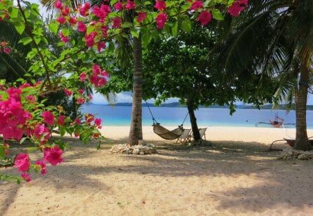 Time for rest - roses, blue, beach, bushes, flowers, exotic, waters, nice, greenery, trees, beautiful, sea, hammock, rela, lovely, ocean, rest, nature, time, floral, sands