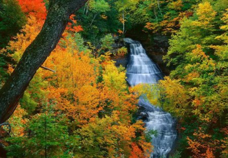 Forest fall - pretty, calm, creek, stream, forest, hidden, nice, falling, trees, beautiful, colors, lovely, fall, colorful, river, nature, waterfall, peaceful