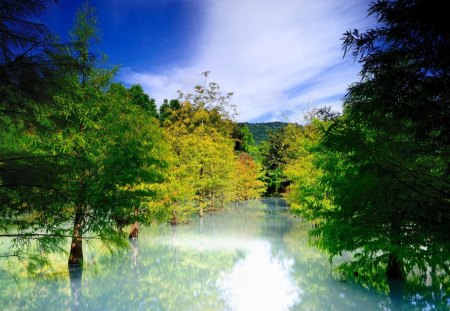 Flooding - sky, water, trees, nature, flood