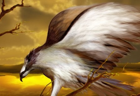 The Osprey Hawk - art, digital, abstract, beautiful