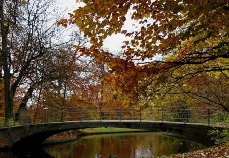 Autumn in the Park - water, park, autumn, bridge