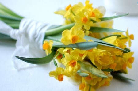 A Bouquet of Daffodils - flowers, daffodils, bouquet, anemone