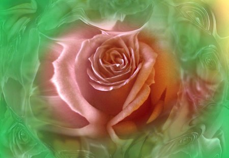 A sweet rose for sweet Miss Kate - swirls, pink, green, rose, flower