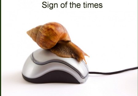 Sign of the times - silver, brown, mouse, internet, slow, snail