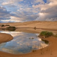 Dunes Siuslaw National Park, Oregon