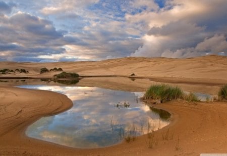 Dunes Siuslaw National Park, Oregon - clouds, hills, water, blue, pond, tan, reflection, daylight, sand, nature, green, brush, day, sky, deseert