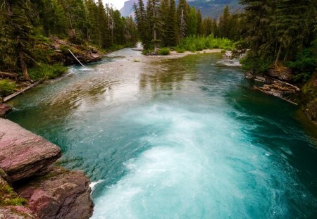 down river - river, fork, forest, rocks