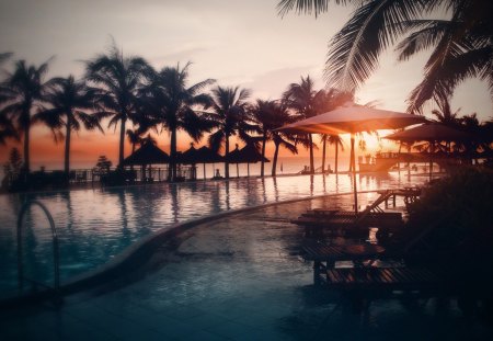 holiday sunset - trees, palms, sunset, pool, sea, photo, haze