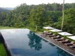 infinity jungle pool