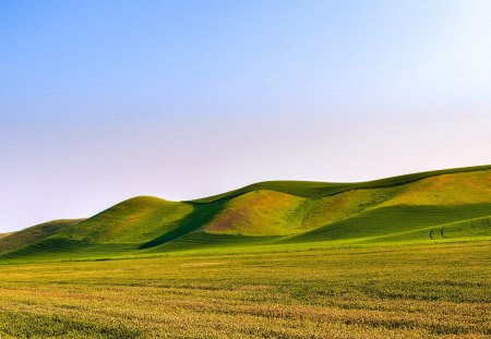 Great Fields Dunes - great, dunes, green, fields