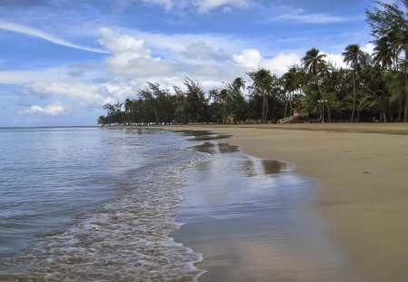 Summer Resort - beach, palm trees, waves, shore