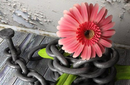 Flower In Chain - nice, flower, cool, chain