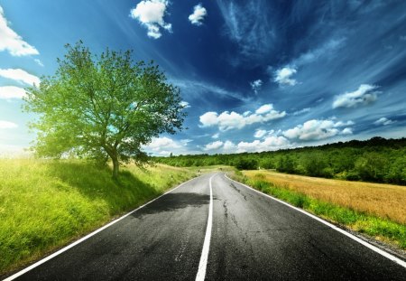 Road To... - beauty, sky, trees, peaceful, road, view, clouds, green, summer time, tree, sunny, grass, landscape, summer, lovely, nature, blue, beautiful, splendor