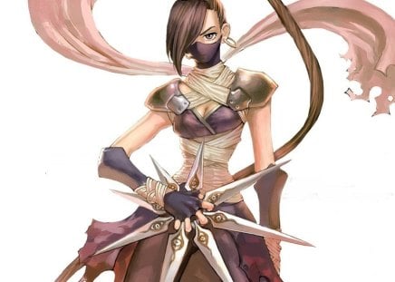 Assassin - ninja, long hair, assassin, brown hair