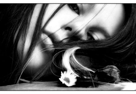 Mrs. DAISY - wp, photography, bw, portrait, daisy, face